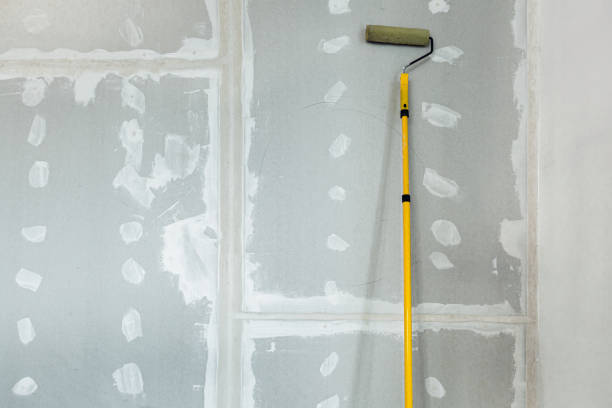 Trusted Trinity, AL Mold Removal Experts