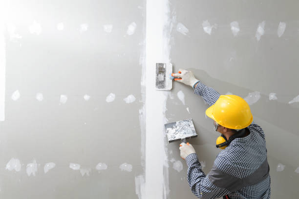 Best Mold Damage Restoration  in Trinity, AL