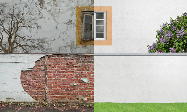 Best Mold Documentation for Insurance Claims  in Trinity, AL