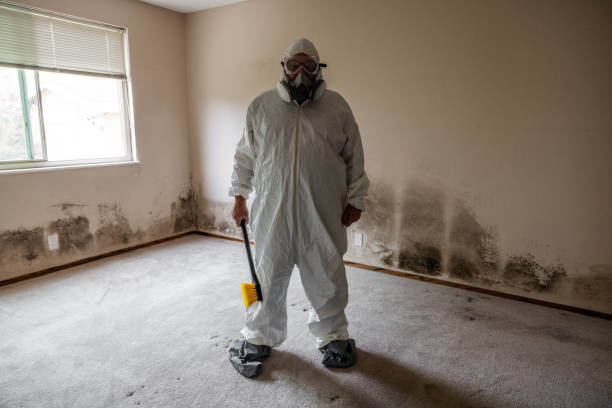 Best Industrial Mold Remediation  in Trinity, AL