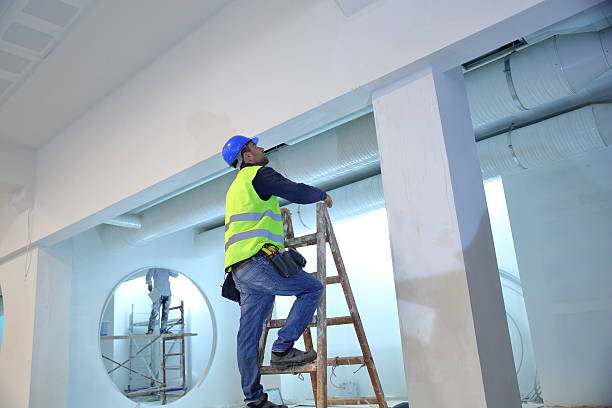 Best Black Mold Removal  in Trinity, AL